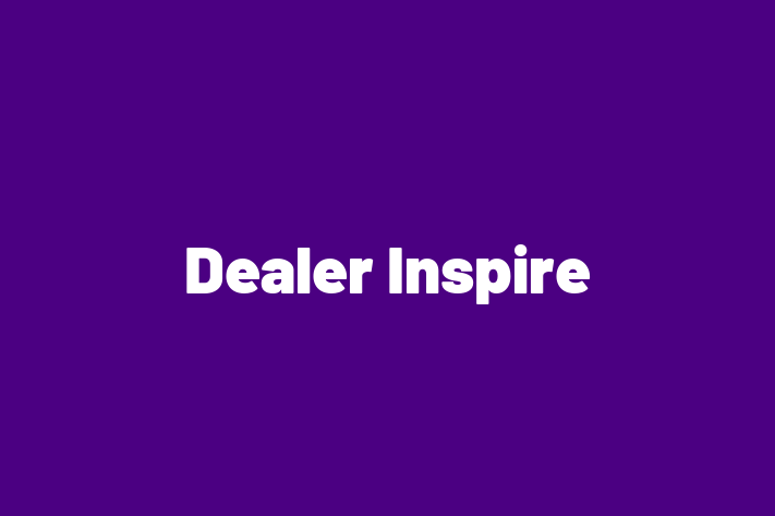 Software Development Company Dealer Inspire