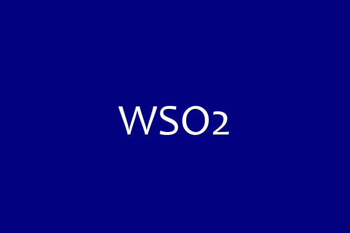 Technology Solutions Firm WSO2