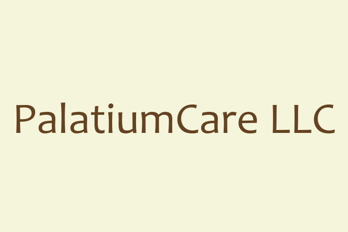 Software Solutions Provider PalatiumCare LLC