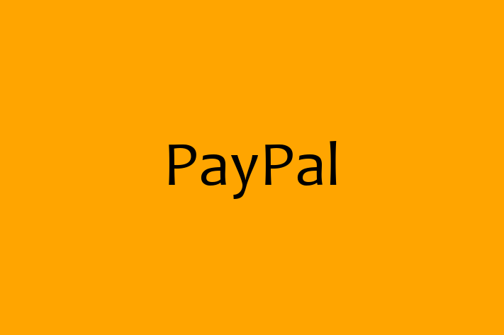 IT Company PayPal