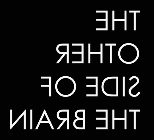 Software Development Company The Other Side Of The Brain