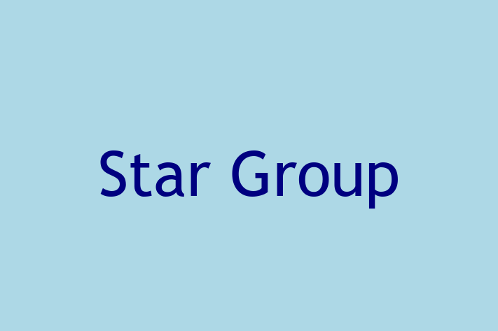 Technology Solutions Firm Star Group