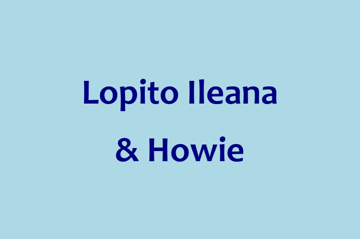 Technology Solutions Firm Lopito Ileana Howie