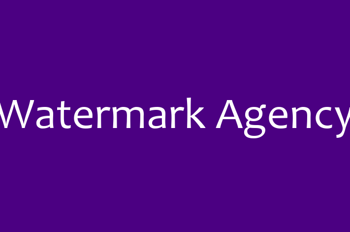 Tech Solutions Company Watermark Agency