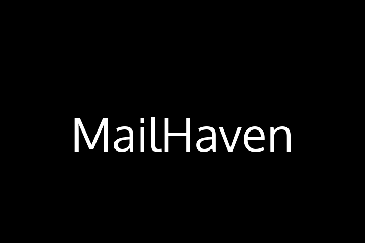 Technology Solutions Firm MailHaven