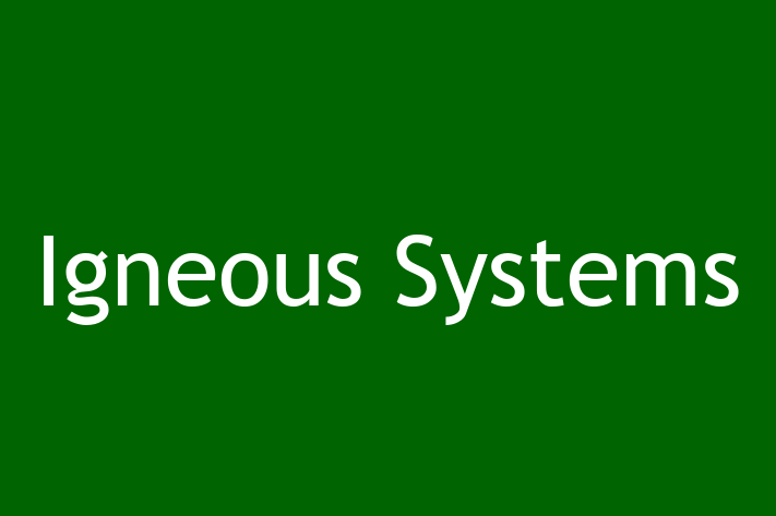 Software Solutions Provider Igneous Systems