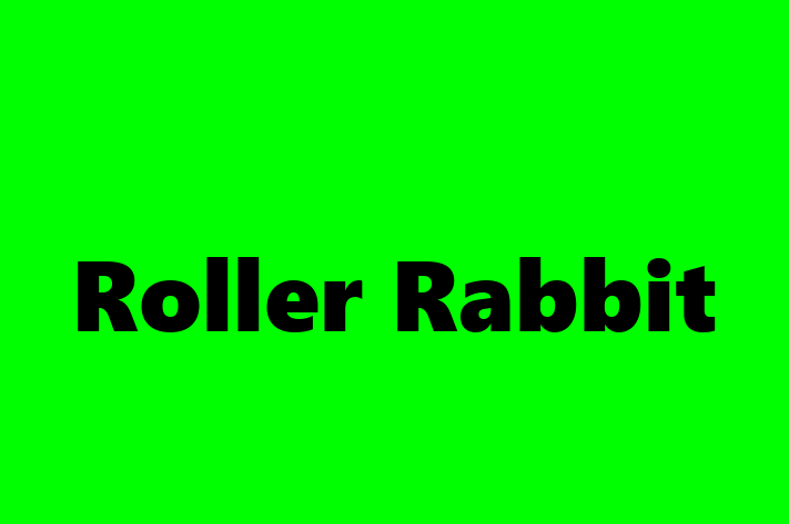 Human Resource Management Roller Rabbit