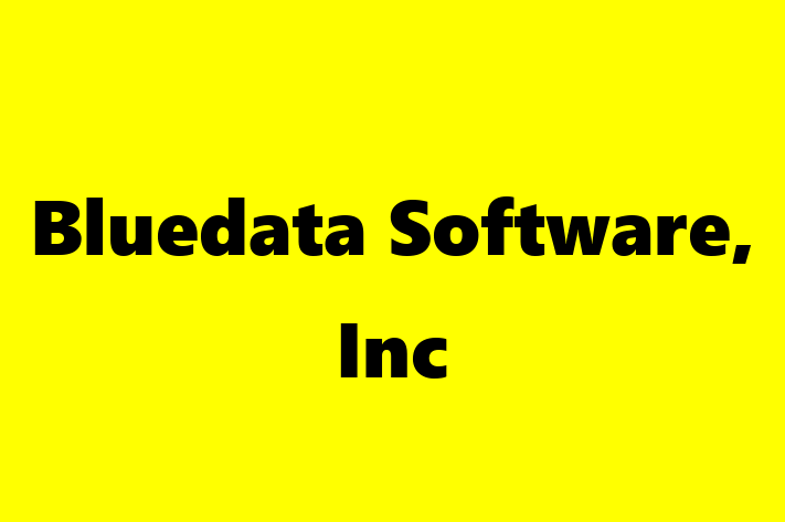 Software Services Company Bluedata Software Inc