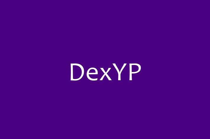 Technology Solutions Firm DexYP