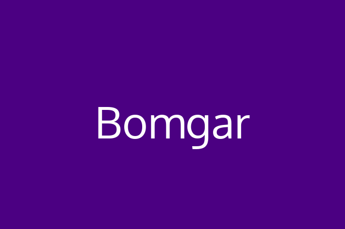 Software Consultancy Bomgar