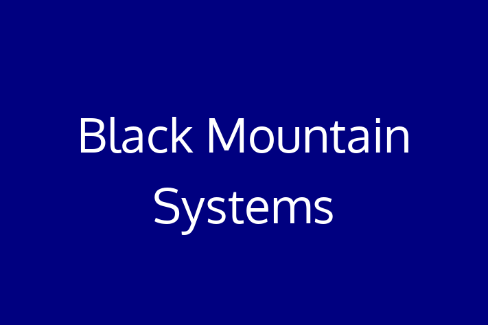 Software Firm Black Mountain Systems