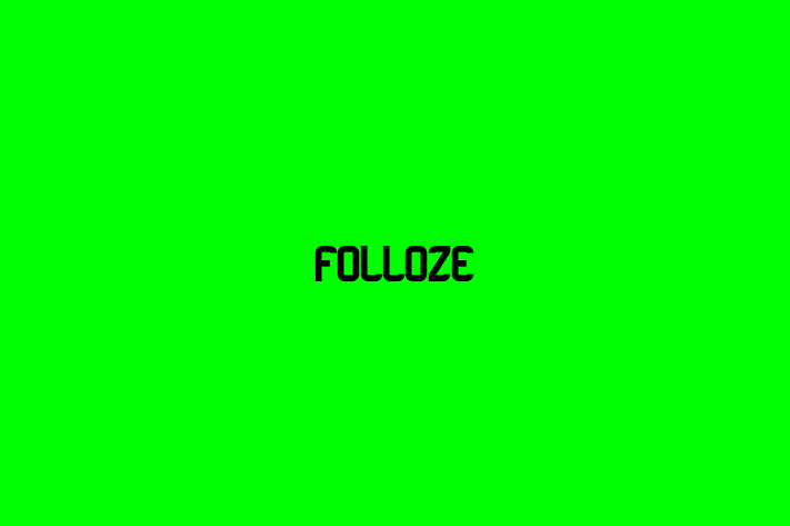 Digital Solutions Provider Folloze