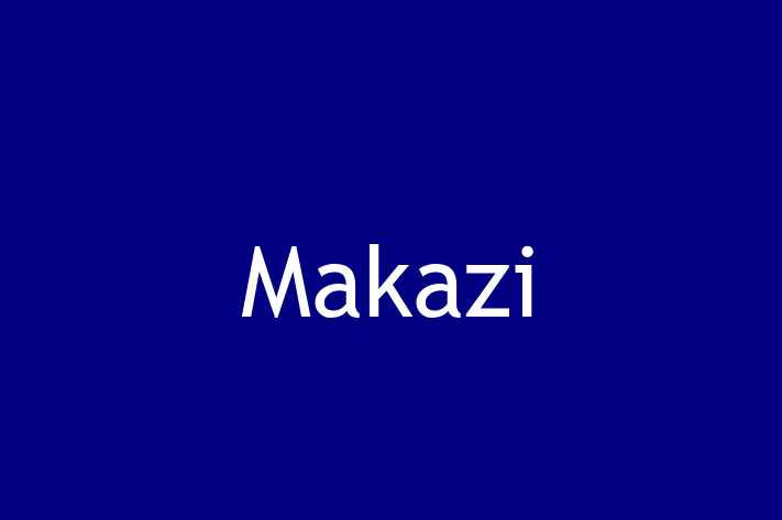 IT Company Makazi