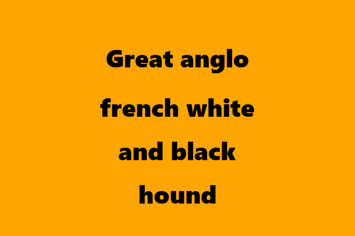 Great anglo french white and black hound for Sale in Elk Grove