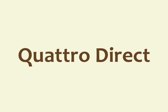 Software Development Company Quattro Direct