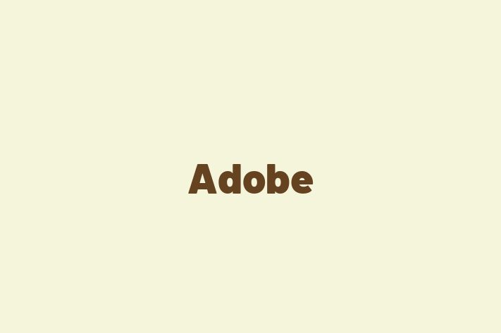 Application Development Company Adobe