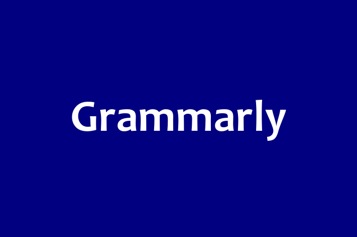 Software Development Company Grammarly