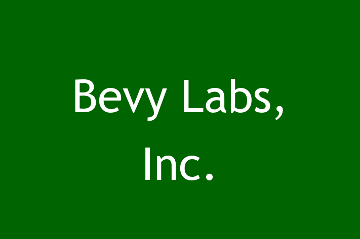 Tech Solutions Company Bevy Labs Inc.