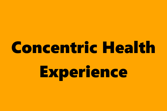 Software Engineering Company Concentric Health Experience