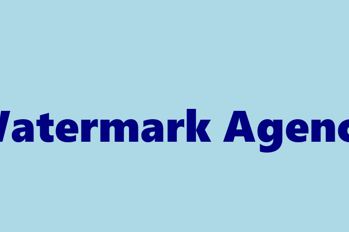 Software Solutions Provider Watermark Agency