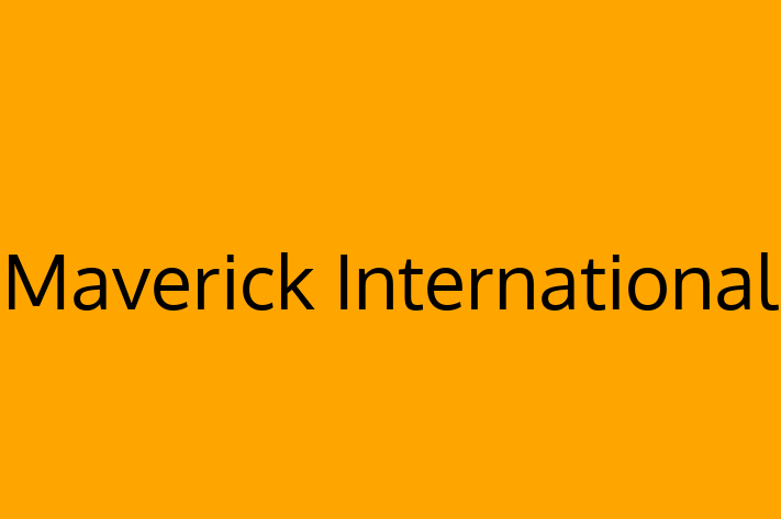 Technology Company Maverick International