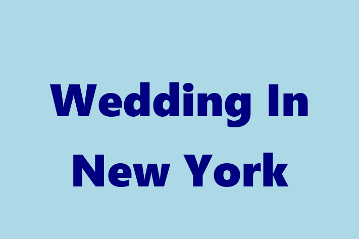 Software Consultancy Wedding In New York