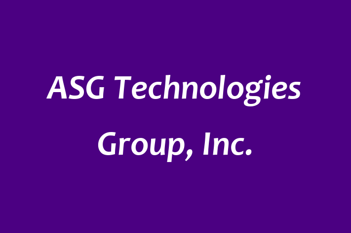 Software Consultancy ASG Technologies Group Inc.