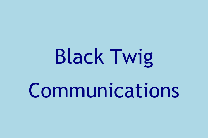 Software Development Firm Black Twig Communications