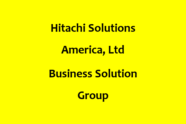 Application Development Company Hitachi Solutions America Ltd Business Solution Group