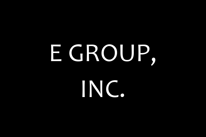 Software Firm E GROUP INC.