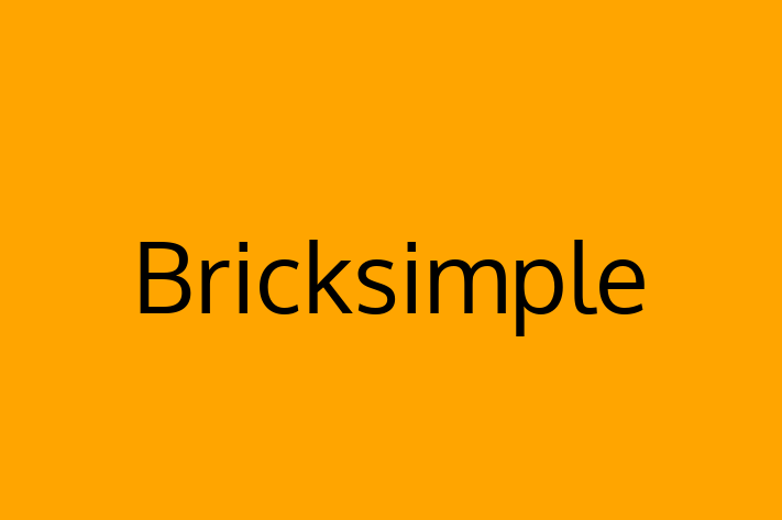 Software Engineering Company Bricksimple