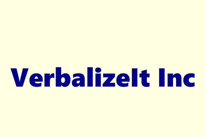 Application Development Company VerbalizeIt Inc