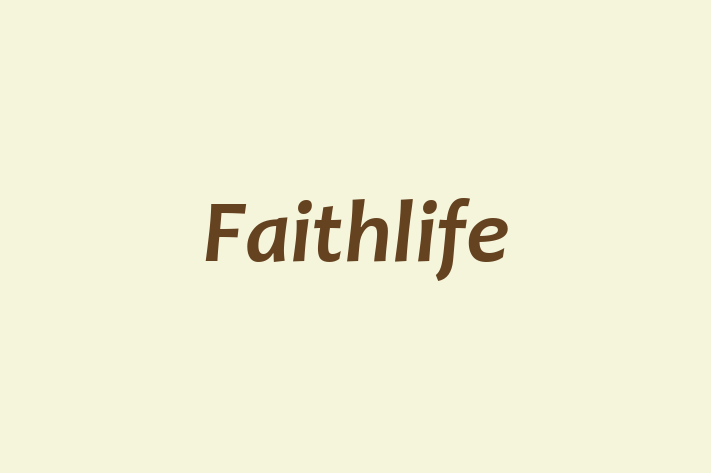 Technology Solutions Firm Faithlife