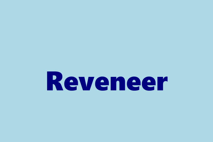 Talent Management Reveneer