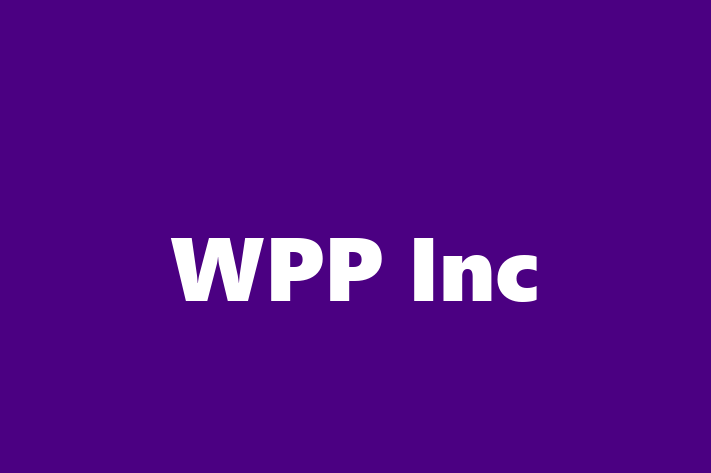 Software Engineering Company WPP Inc