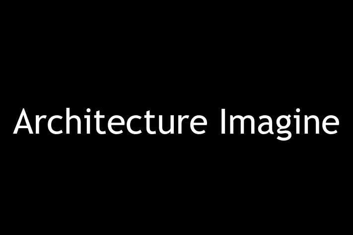 Designer Architect Architecture Imagine