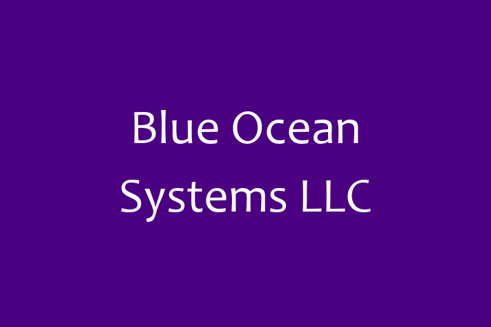 Digital Solutions Provider Blue Ocean Systems LLC