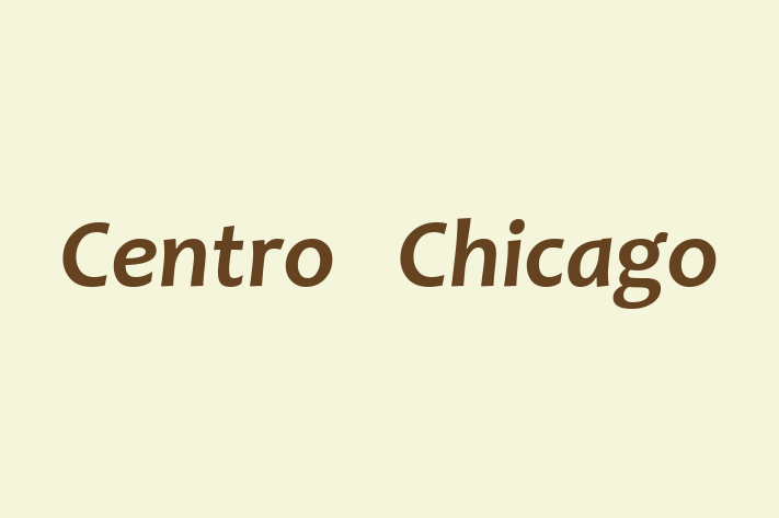 Software Consultancy Centro  Chicago