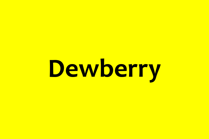 Software Engineering Company Dewberry