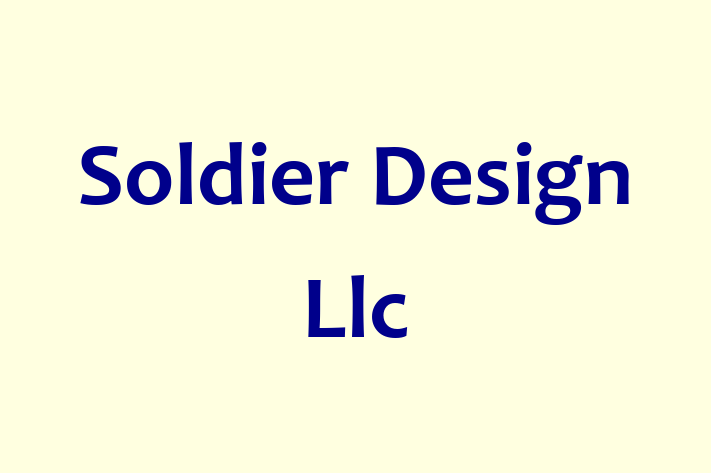 Software Consultancy Soldier Design Llc