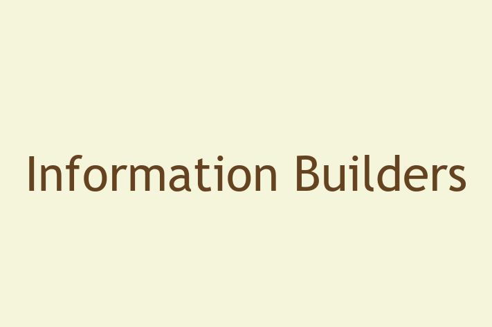 Technology Solutions Firm Information Builders