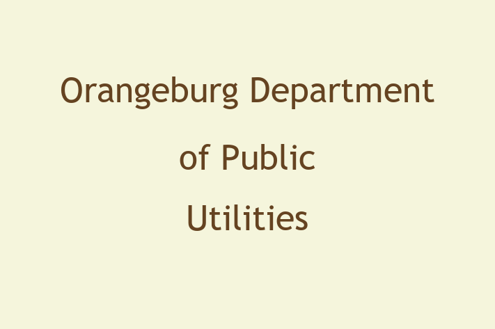 IT Company Orangeburg Department of Public Utilities