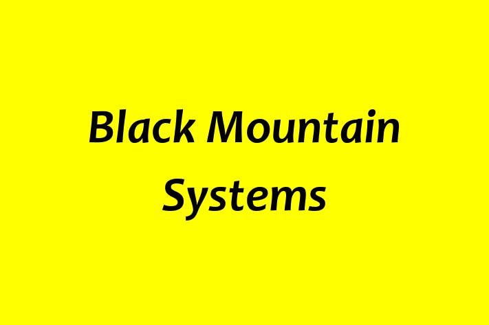 Software Engineering Company Black Mountain Systems