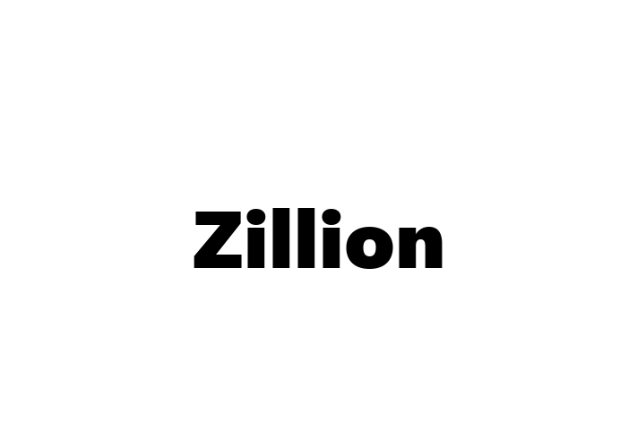 Software Development Company Zillion