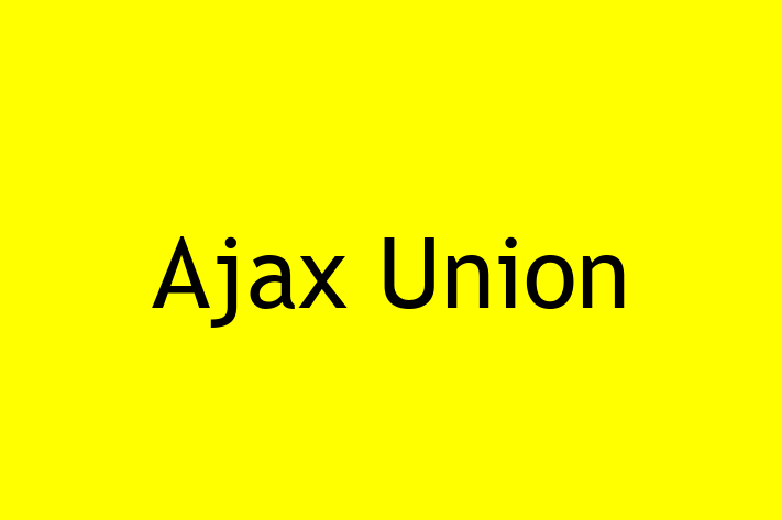 Software Services Company Ajax Union