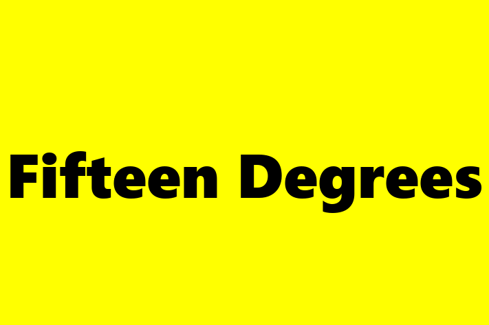 IT Company Fifteen Degrees