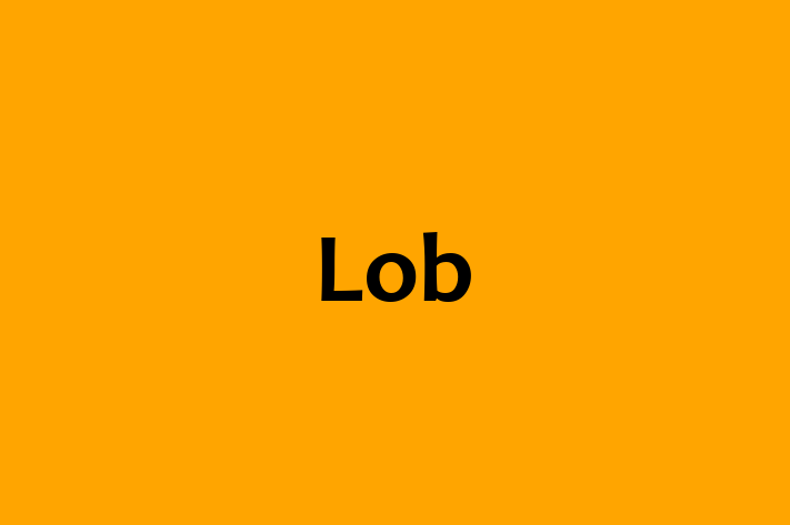 Technology Solutions Firm Lob