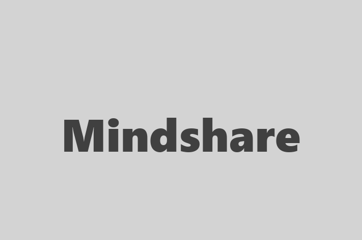 Application Development Company Mindshare