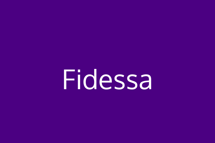 Software Engineering Company Fidessa