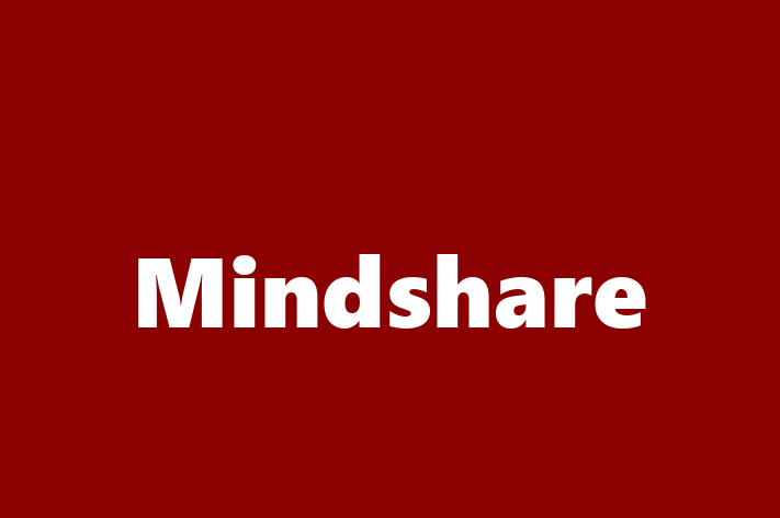 Digital Solutions Provider Mindshare